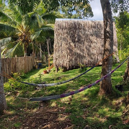 فندق Firefly Treehouse Cafe And Bar Lazi المظهر الخارجي الصورة